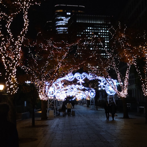 DSC_0248.JPG